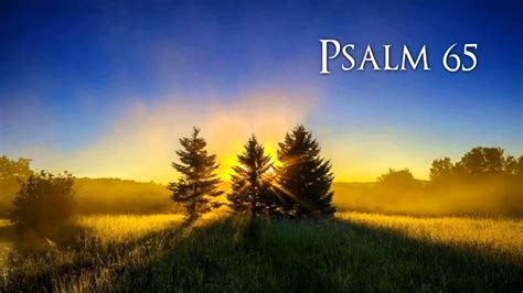 Psalm 65 kjv - Psalm 65, assumed to be written by King David, is a song of praise and thanksgiving to God for His remarkable deeds and blessings. It speaks of God's magnificent power as …